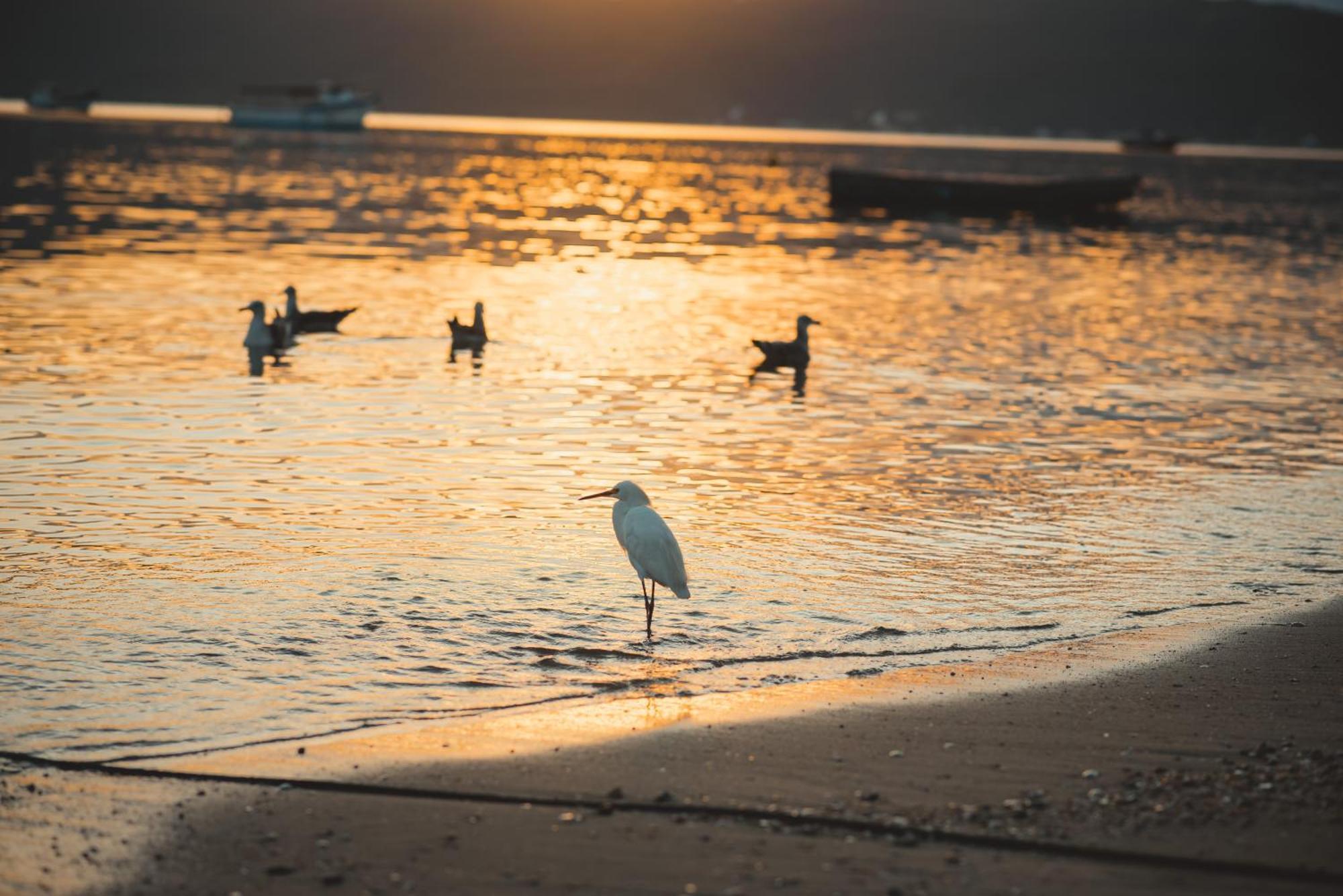 Pousada Canto Do Pescador Bombinhas Buitenkant foto